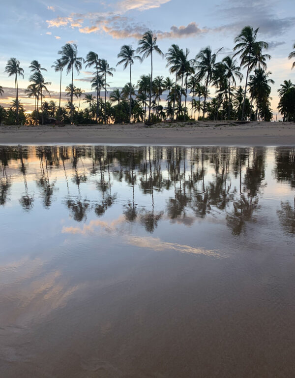 Casa Na Praia Pé na Areia em Belmonte - Região de Porto Seguro - Imagem 7