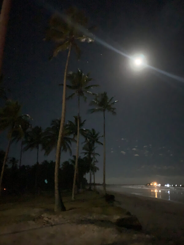 Casa Na Praia Pé na Areia em Belmonte - Região de Porto Seguro - Imagem 8