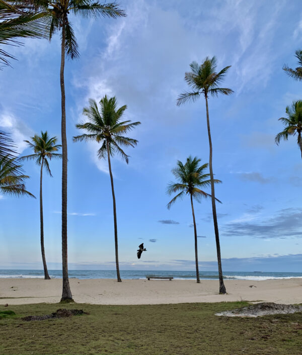 Casa Na Praia Pé na Areia em Belmonte - Região de Porto Seguro - Imagem 38