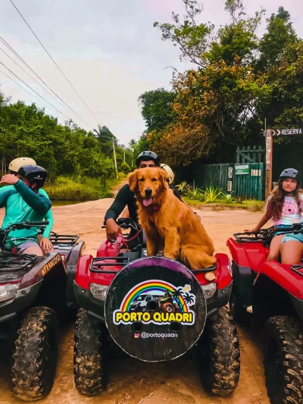 Quadriciclo na Rota do Açaí com Cachorro