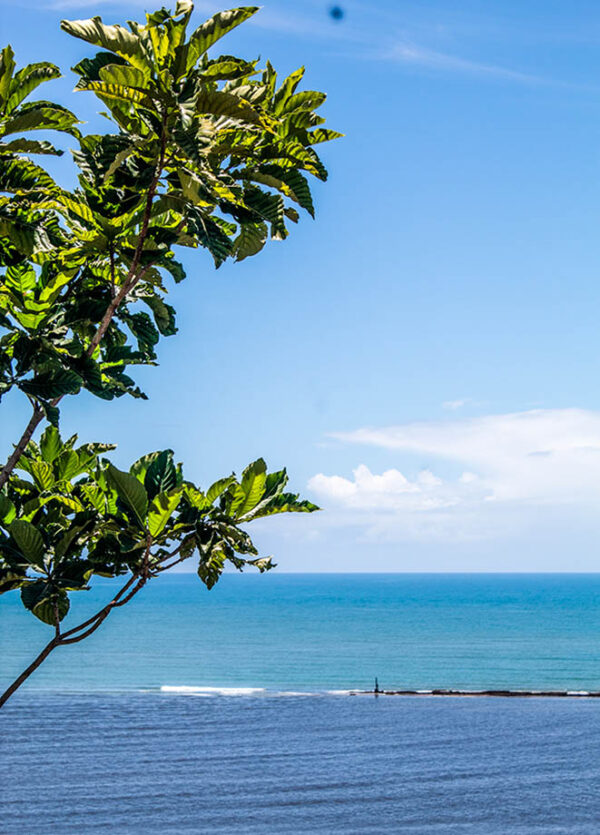 porto seguro eco bahia hotel vista da cidade dia mar azul