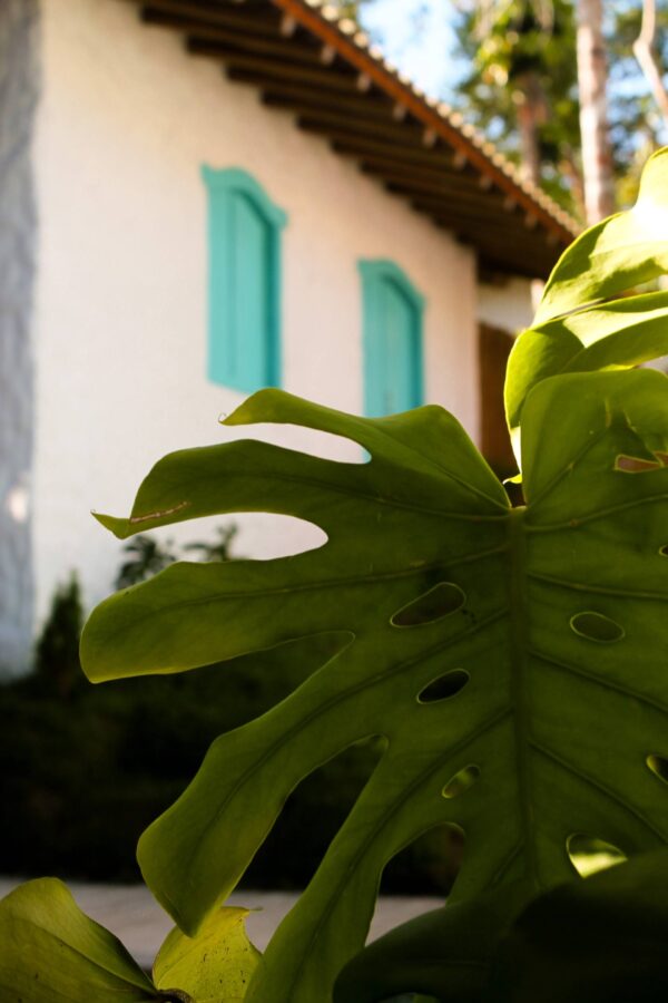 villa mediterraneo trancoso natureza